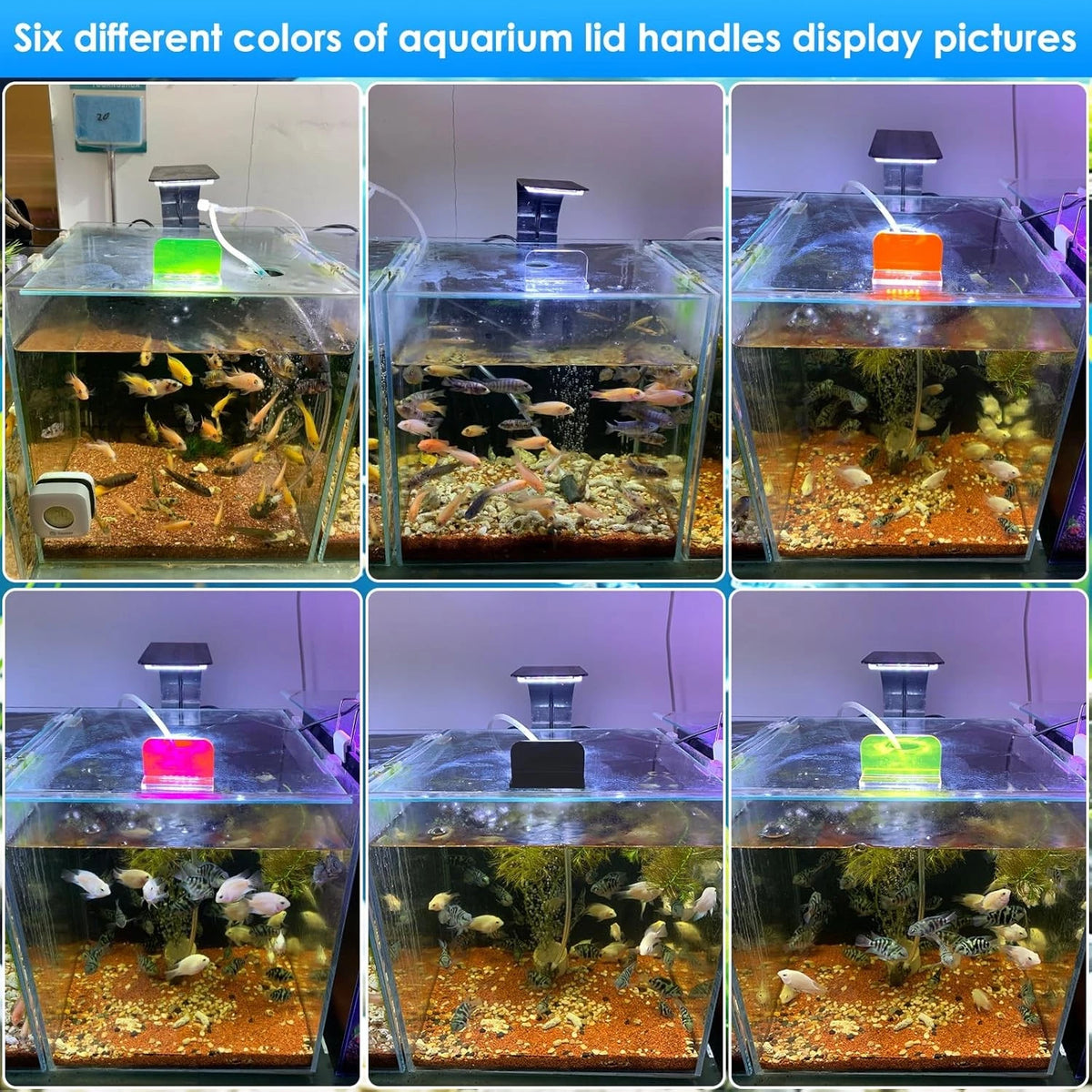 6pcs aquarium lid hinge acrylic fish tank glass canopy handle colorful