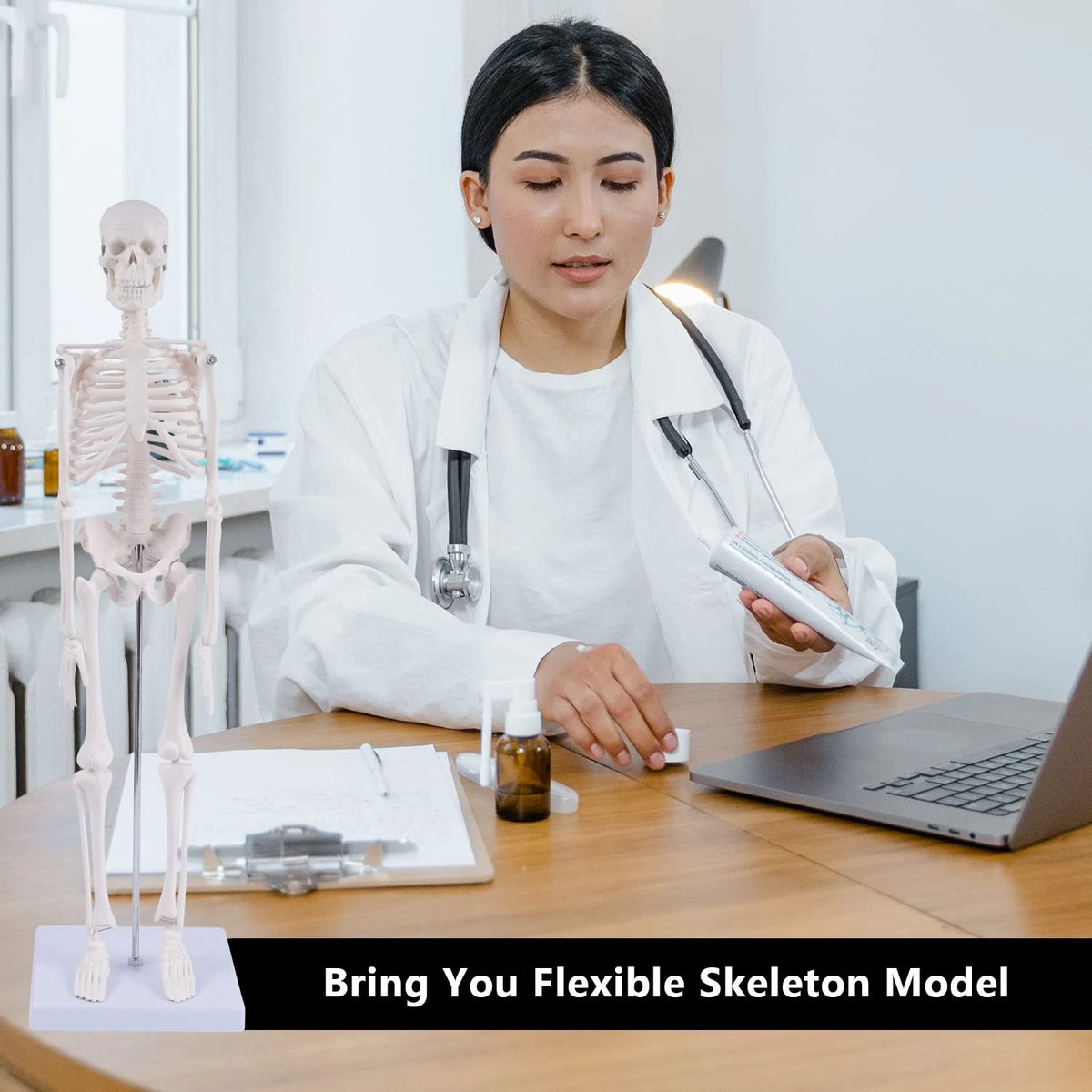 NLShan Human Skeleton Model for Anatomy: 17.7 Inches skeleton model