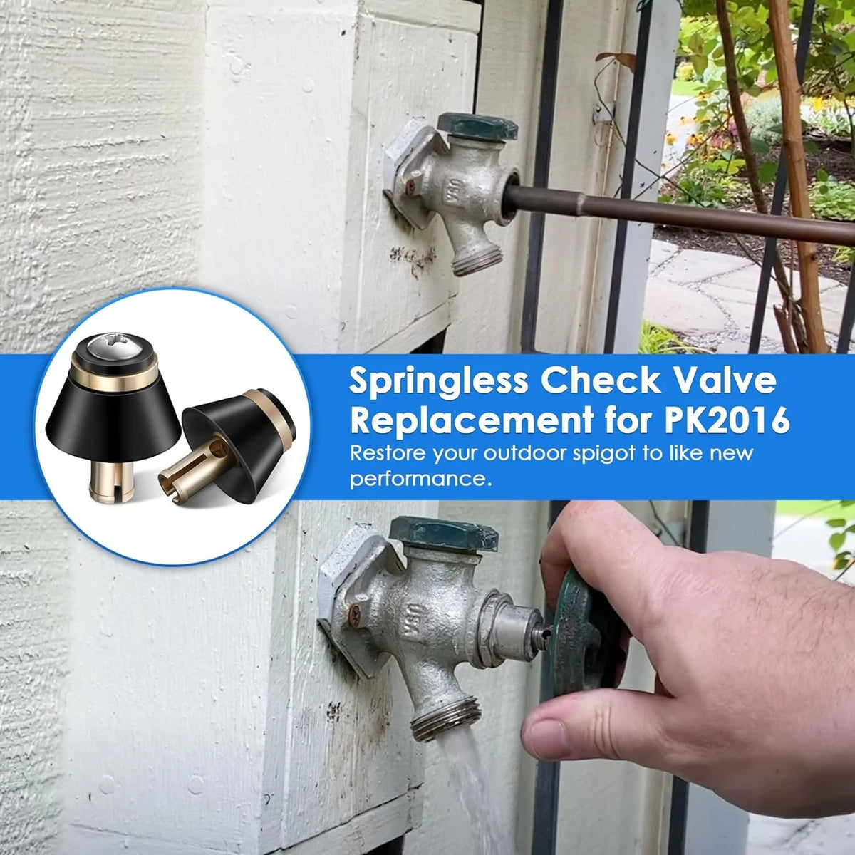 2 Pack Springless CHK Valve Replacement for PK2016 420 Series, black and gold