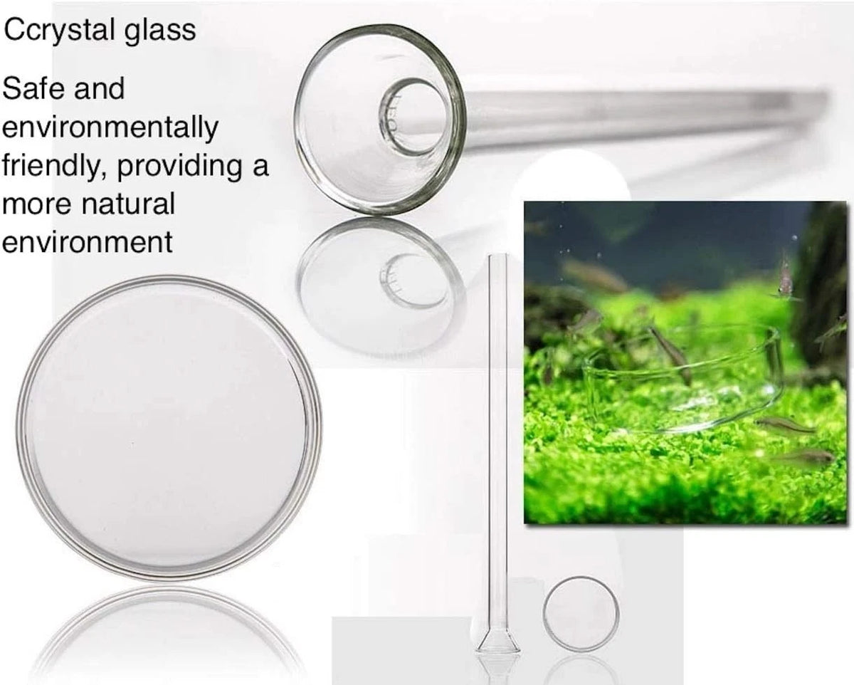 Shrimp Feeding Tube and Dish,Clear Crystal Glass 12“, clear