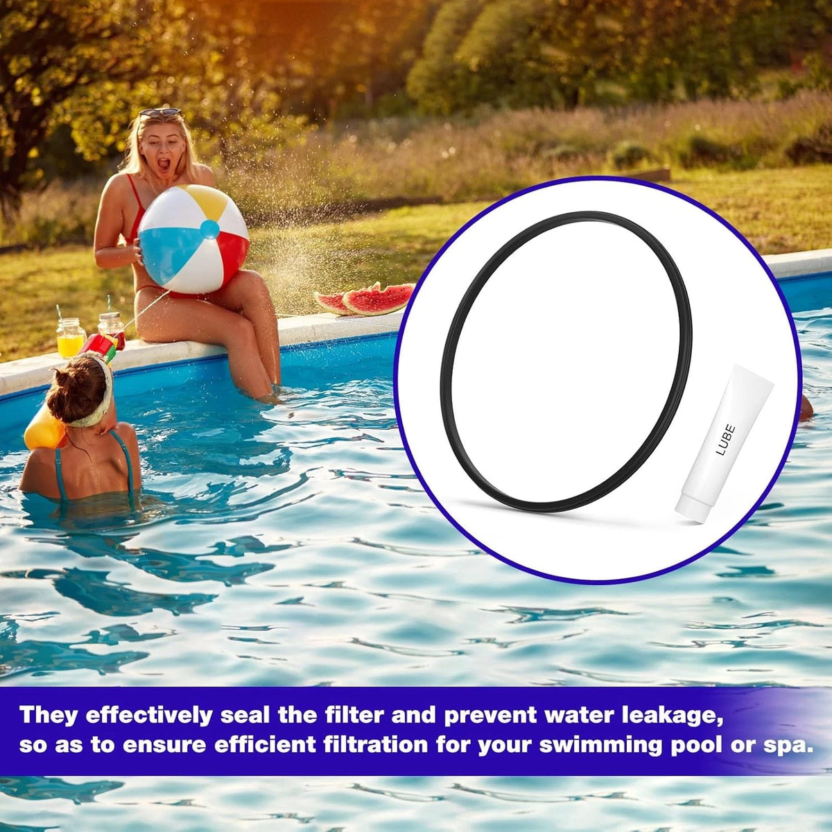 DEX2422Z2 Filter Seal for Hayward DE4820 DE2420 DE3620...