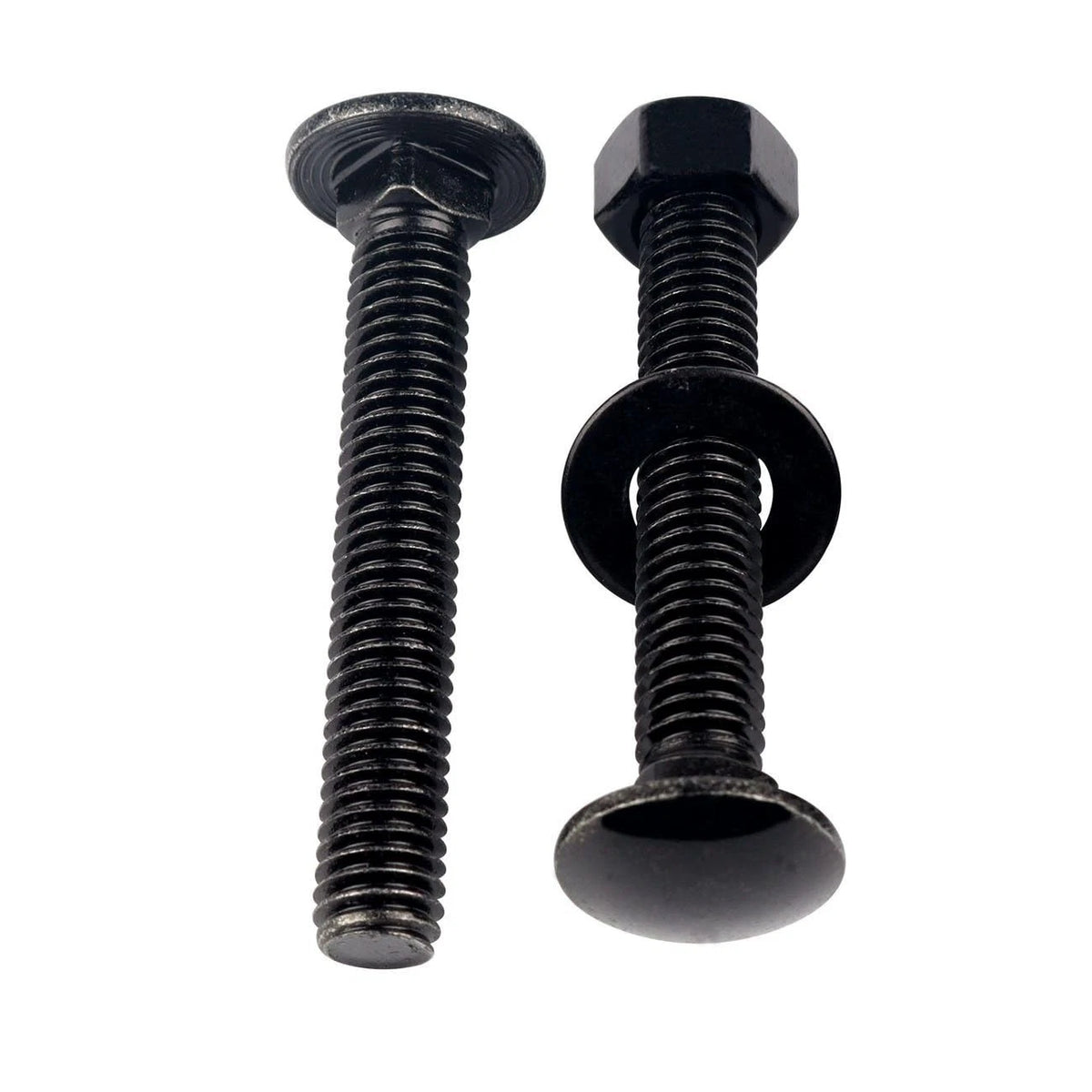 1/4-20 x 1 Stainless Steel Carriage Bolts and x 1" (10 Sets), Black