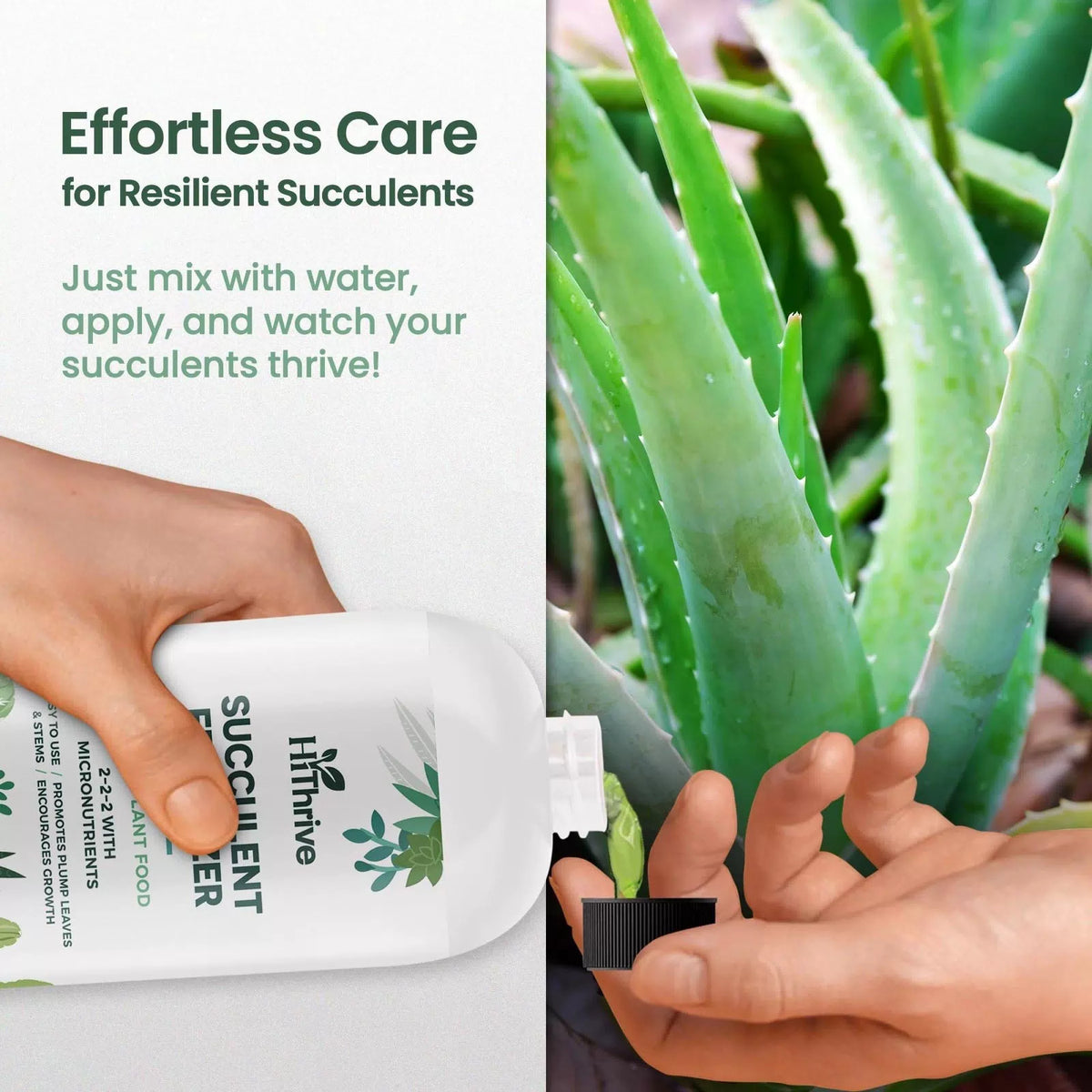16oz Succulent Fertilizer - Makes 32 Gallons of 16 oz (1 Pint) [5]