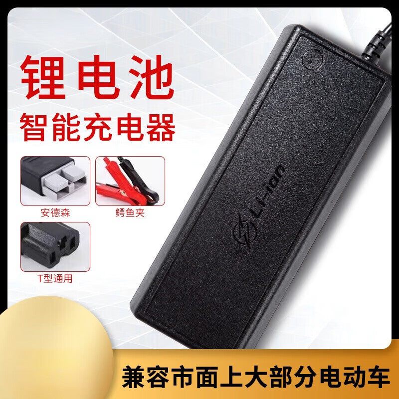 Gangwo z5K6fiB3 intelligent lithium battery charger, 12V, 20A, 16.8V