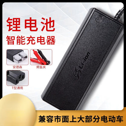 Gangwo z5K6fiB3 intelligent lithium battery charger, 12V, 20A, 16.8V