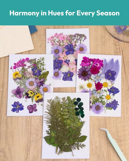 Dried Flowers, Resiners 100Pcs Pressed Flowers for Craft Purple Violet 100pcs [5]