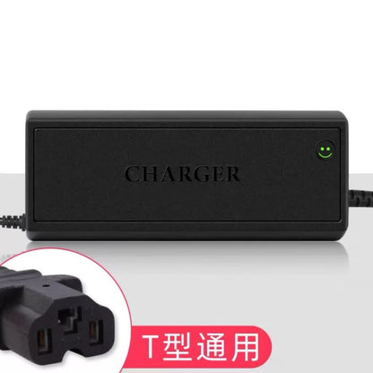 Gangwo z5K6fiB3 intelligent lithium battery charger, 12V, 20A, 16.8V [1]