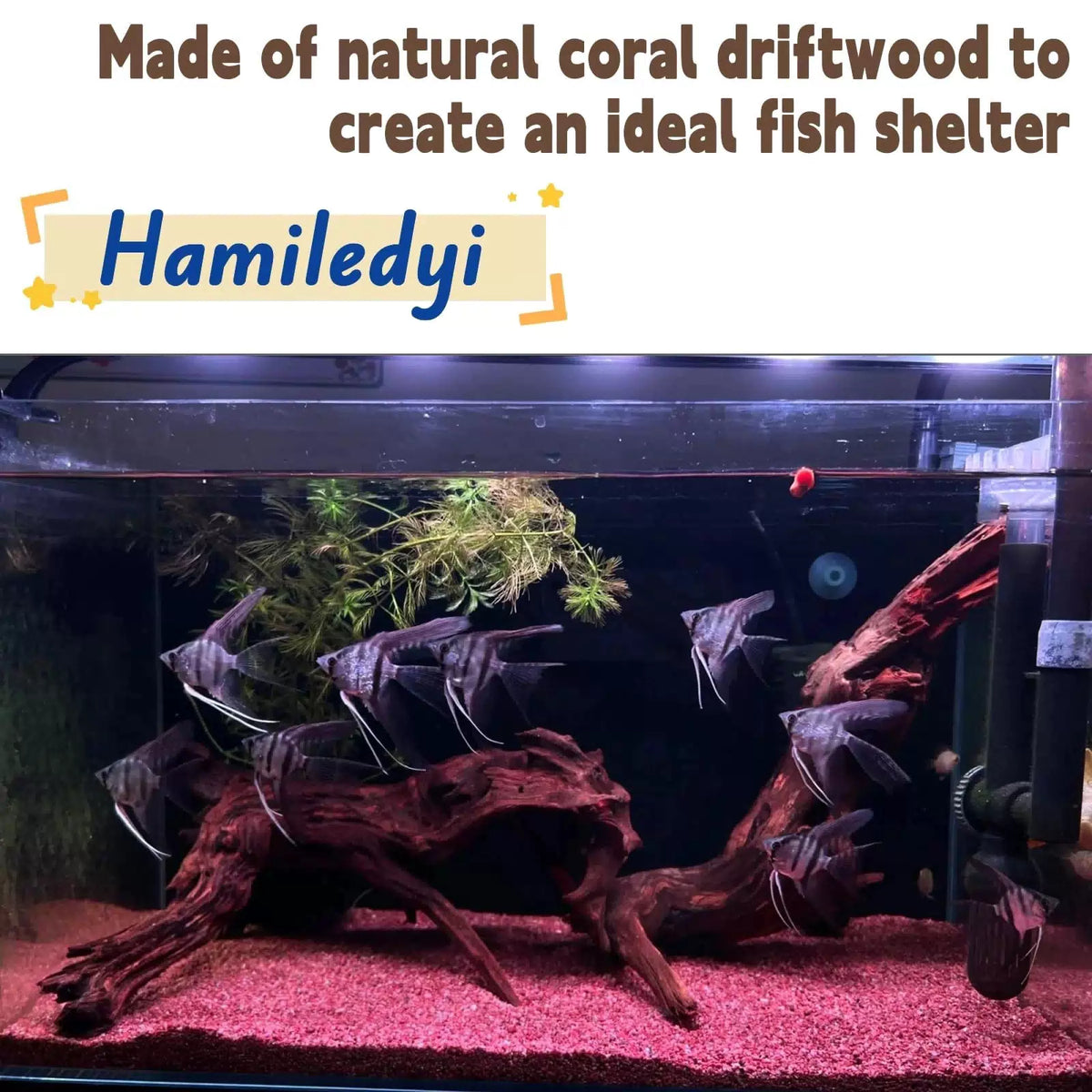Hamiledyi Aquarium Driftwood, XL:Mopani Driftwood (7-15in 1PCS), Brown [3]