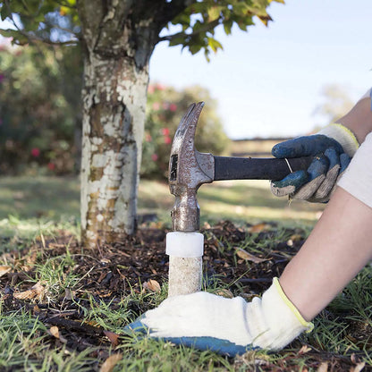 Jobe’s Slow Release Tree and Shrub Fertilizer Spikes, Easy 5 Green [6]