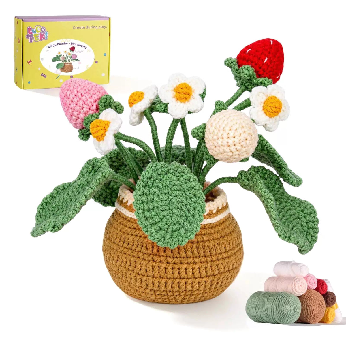 LUDOTEK Crochet Kit for Beginners, Strawberry Beginner [1]