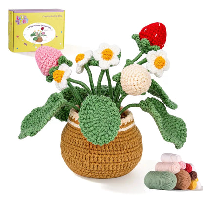 LUDOTEK Crochet Kit for Beginners, Strawberry Beginner [1]