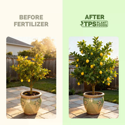 Lemon Tree Fertilizer, Complete Plant Food, 8 oz 8 (1/2 Pint) [3]