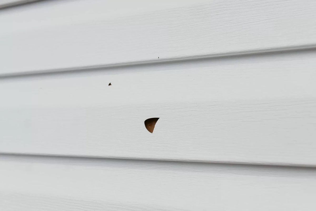 Mendyl Vinyl and Stucco Siding Repair Kit - Cover Any 6 1/2" X 4 3/4", White [9]