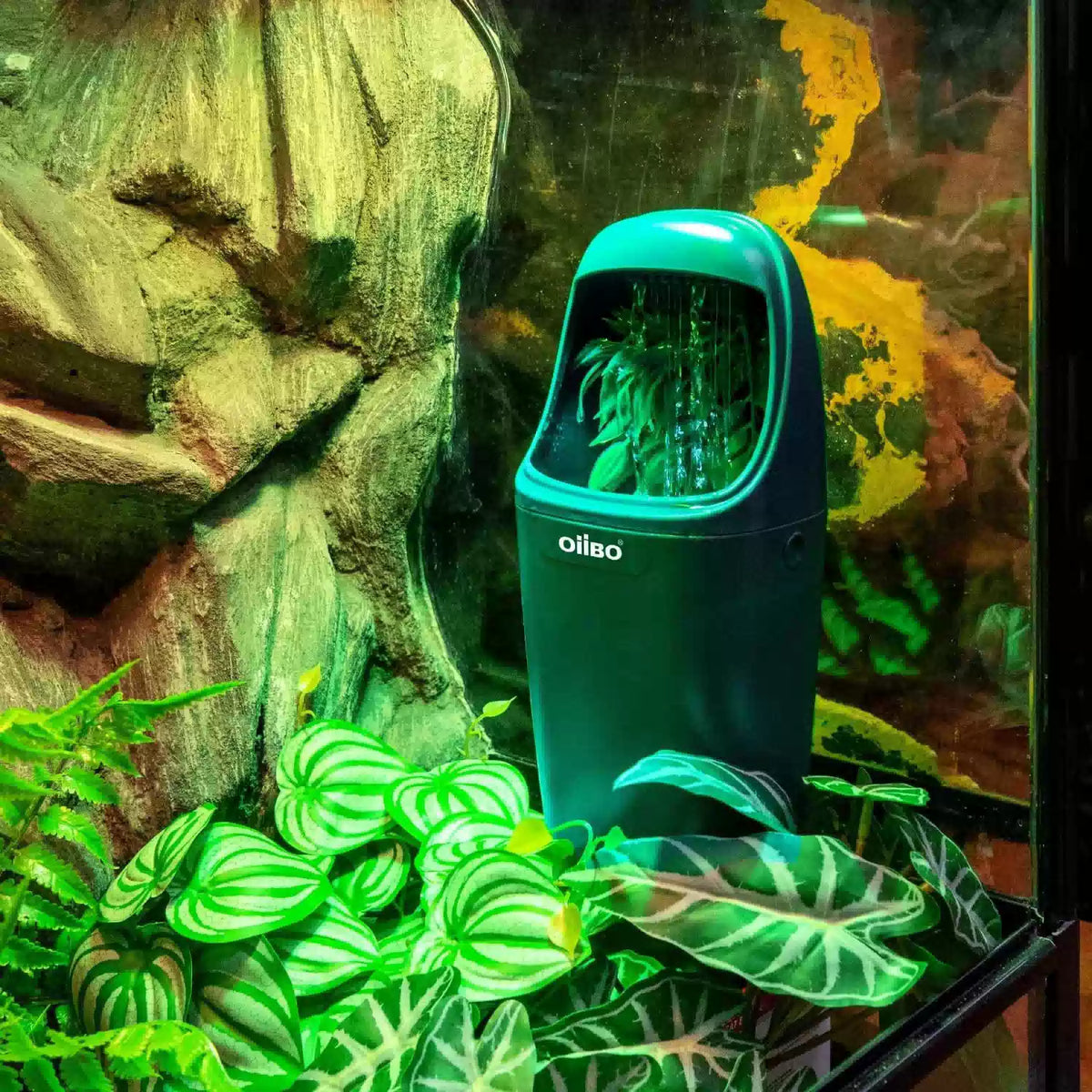 OIIBO Reptile Water Fountain Chameleon Dripper, Green [7]