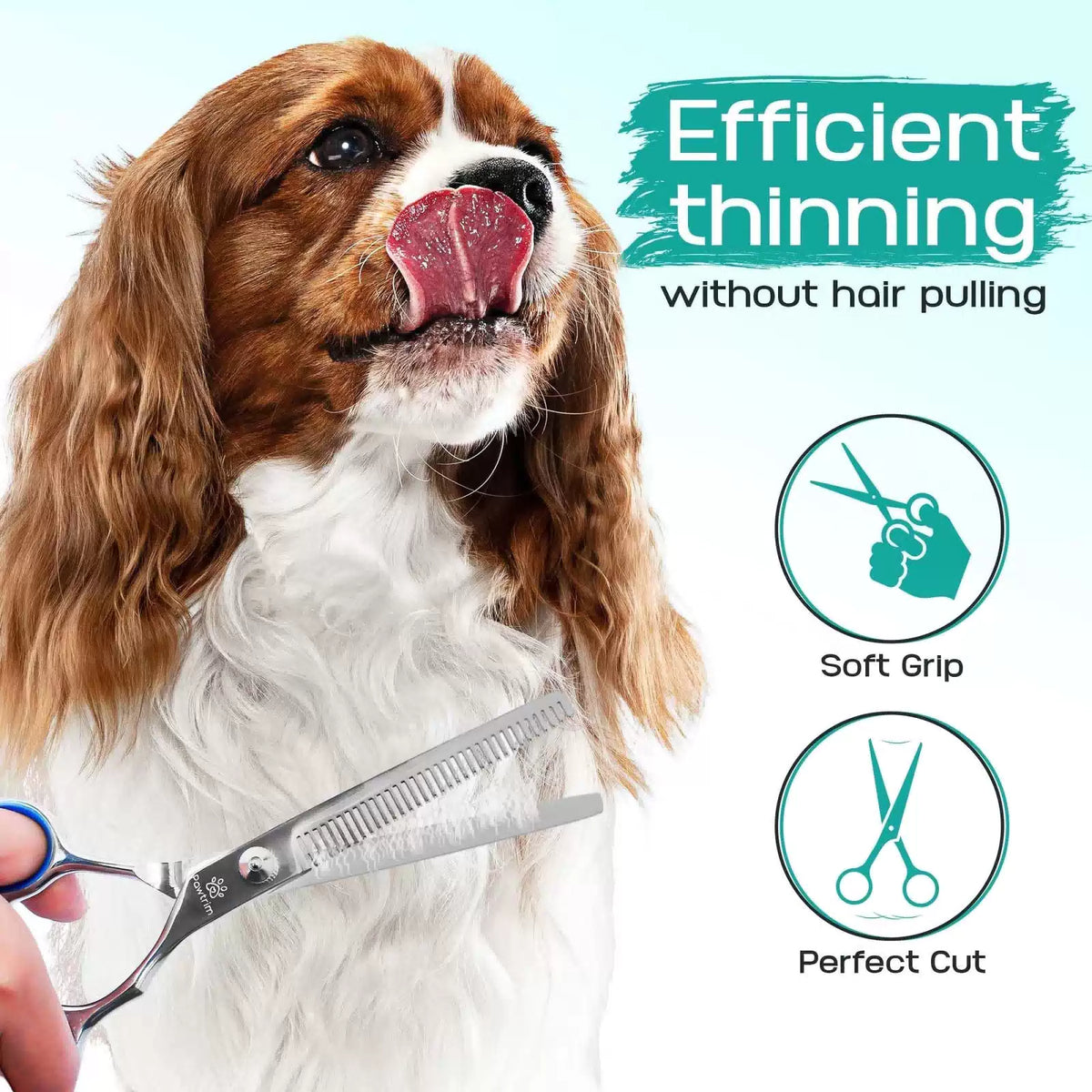 Pawtrim Professional Pet Grooming Kit – 6 in 1 Dog Pack of 6, Blue [4]