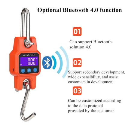 300kg 50g Bluetooth-compation Portable Electronic Hook Scale Charging Bluetooth Mini Lifting Scale For Household Use