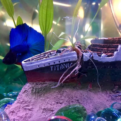 SLOCME Aquarium Titanic Shipwreck Decorations - 15x2x3.5 inch, Multicolor [5]