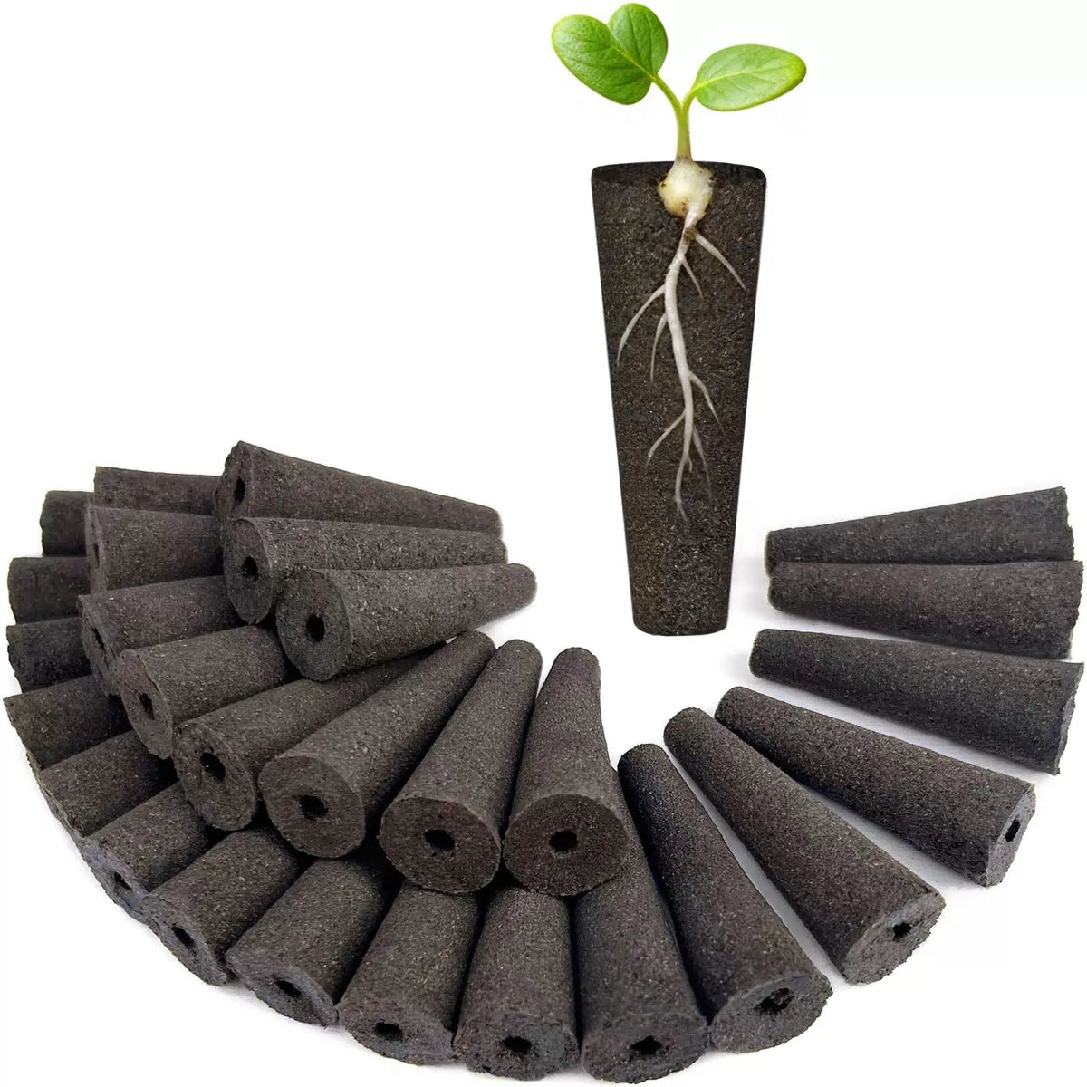 SZLJYLM Grow Sponges 60 Pack, 0.8 inches x 0.2 x 2.2 inches, Brown [1]