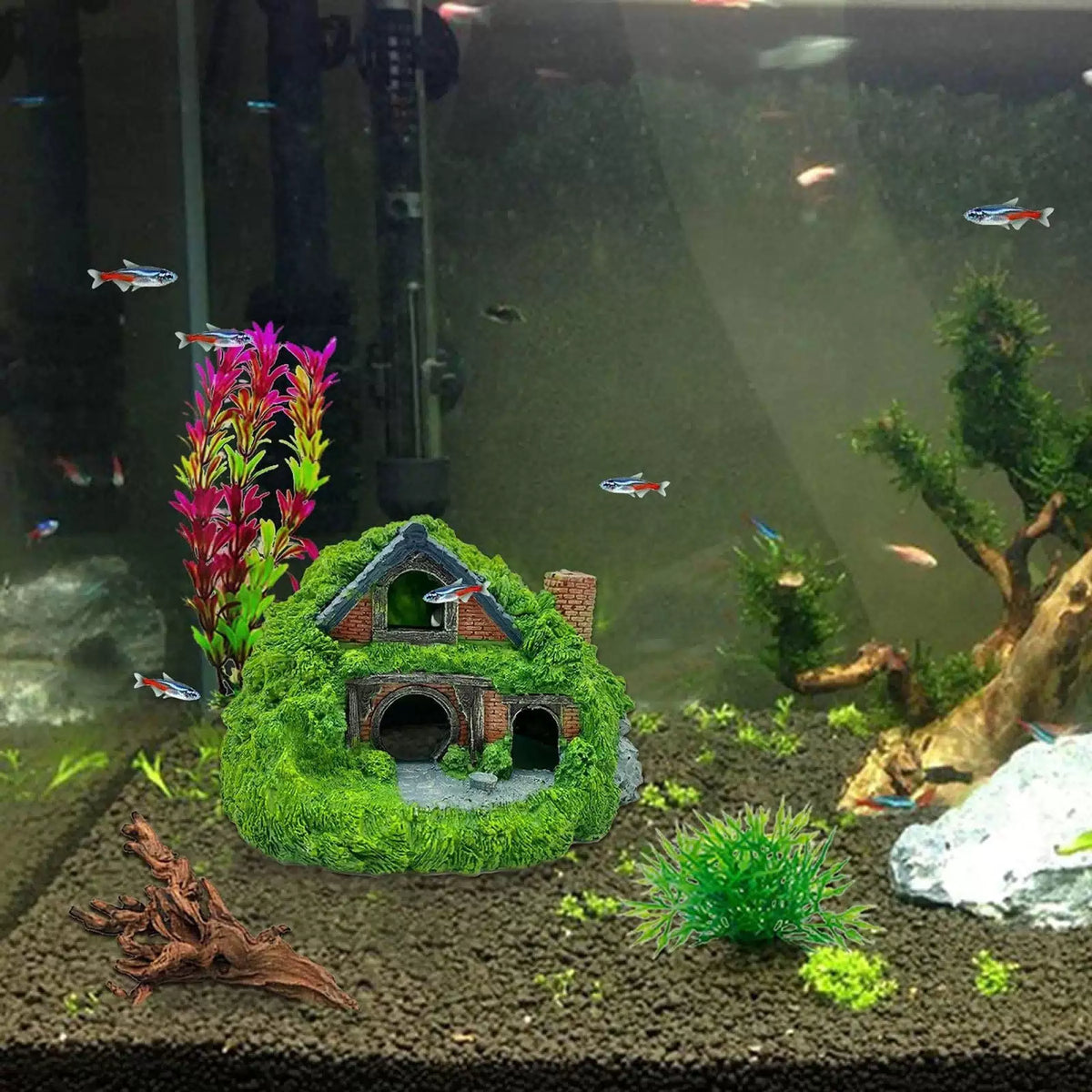 Tfwadmx Fish Tank Hobbit 5.5 x 5.3 x 3.5 inches, Green-5.5 X X Inches [7]