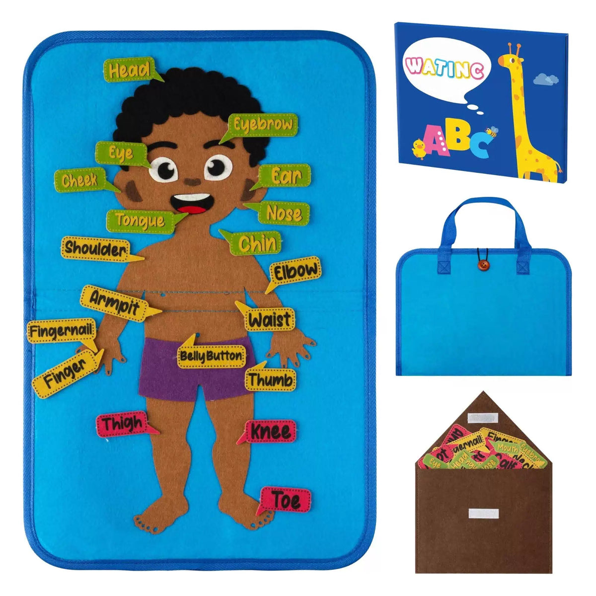 WATINC Body Parts 12 inches by 18 (30.48 cm 45.72 cm), Brown [1]