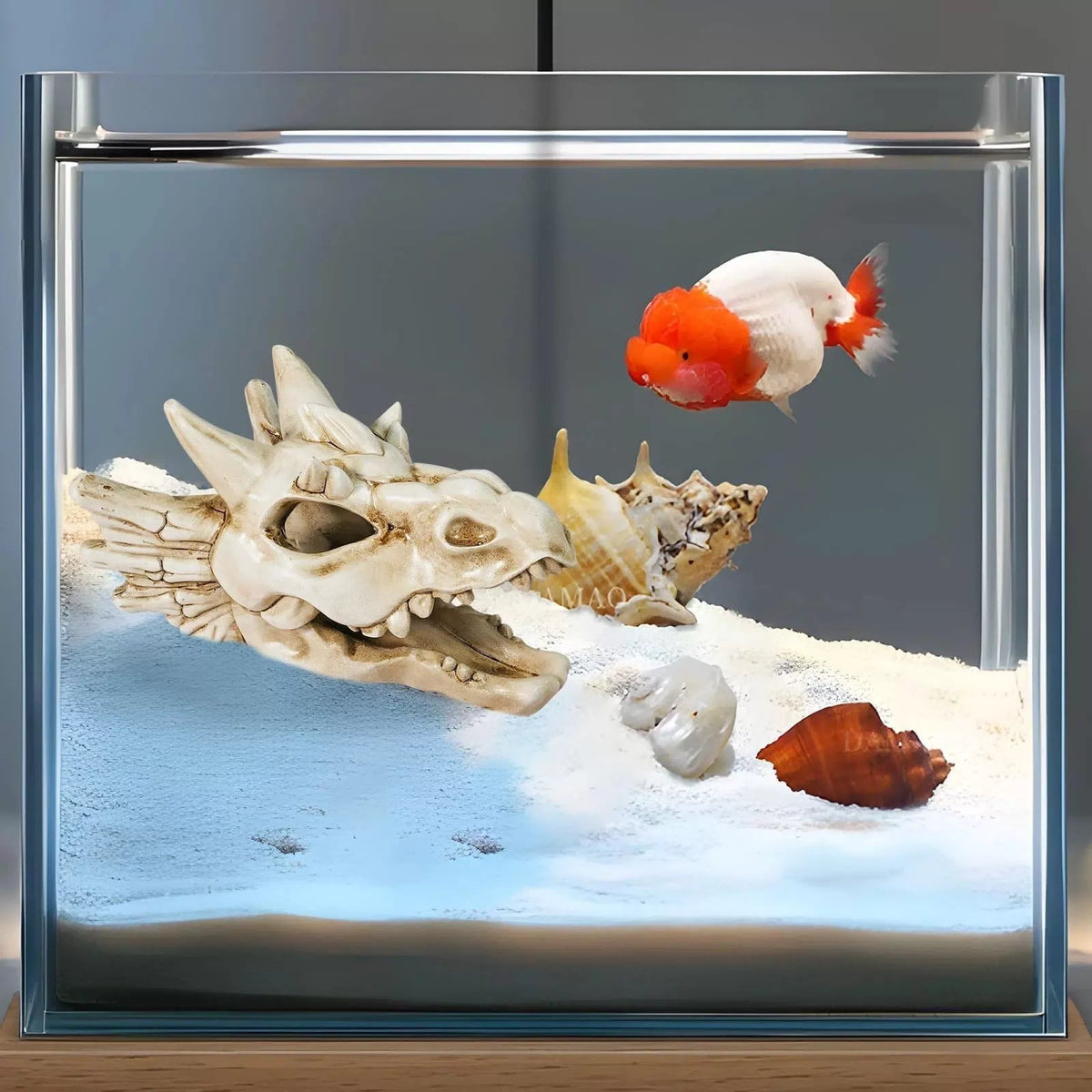 Warmtree Dragon Skull Animal Skulls Mini Dinosaur Aquarium White [6]