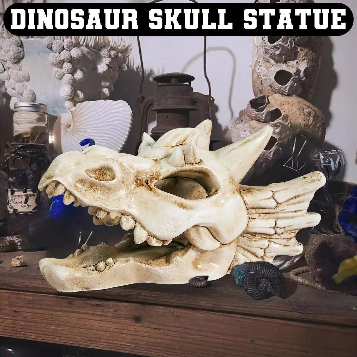 Warmtree Dragon Skull Animal Skulls Mini Dinosaur Aquarium White [8]