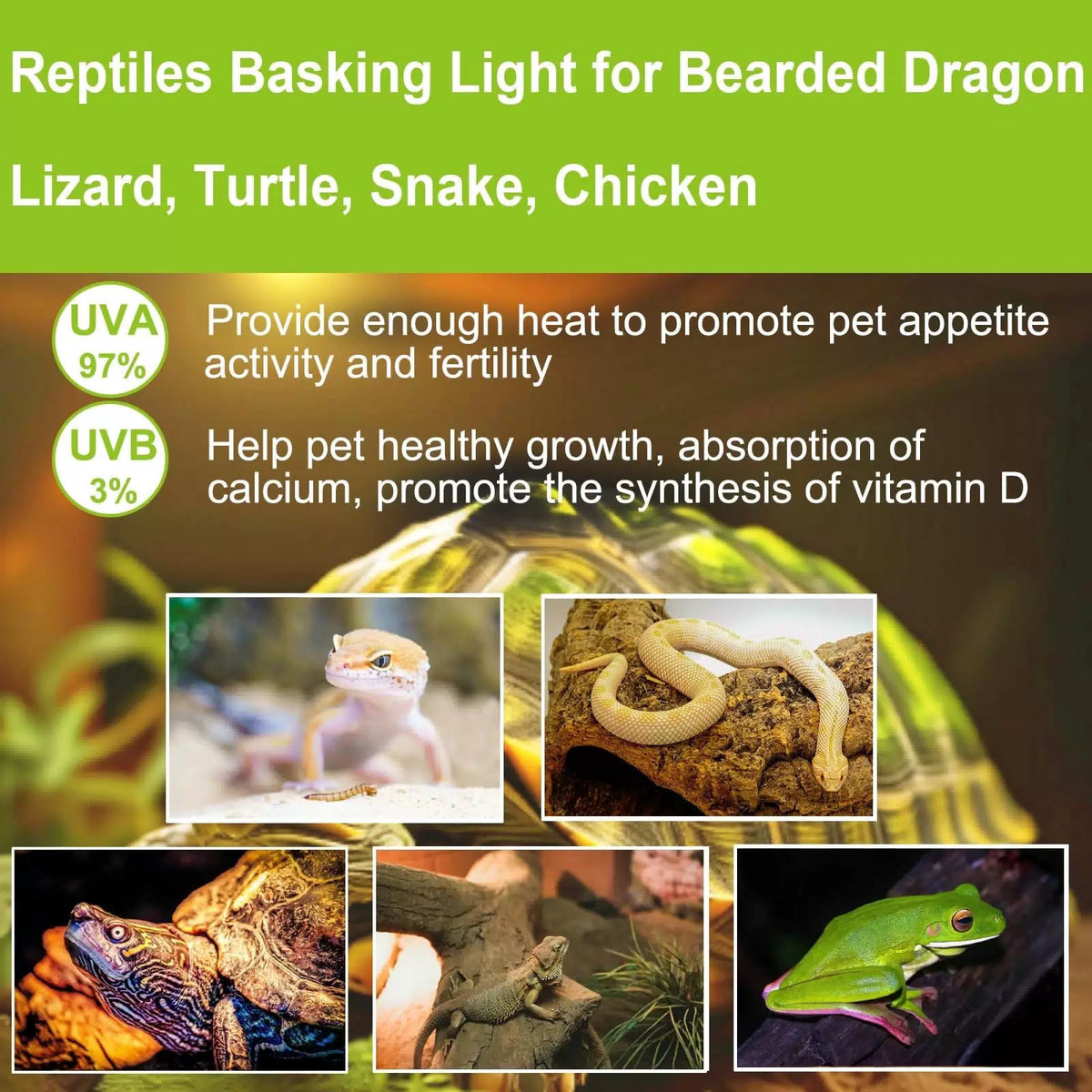 YEGRUEB UVB UVA Reptile Light Bulb 50W for Reptiles and Warm White [4]