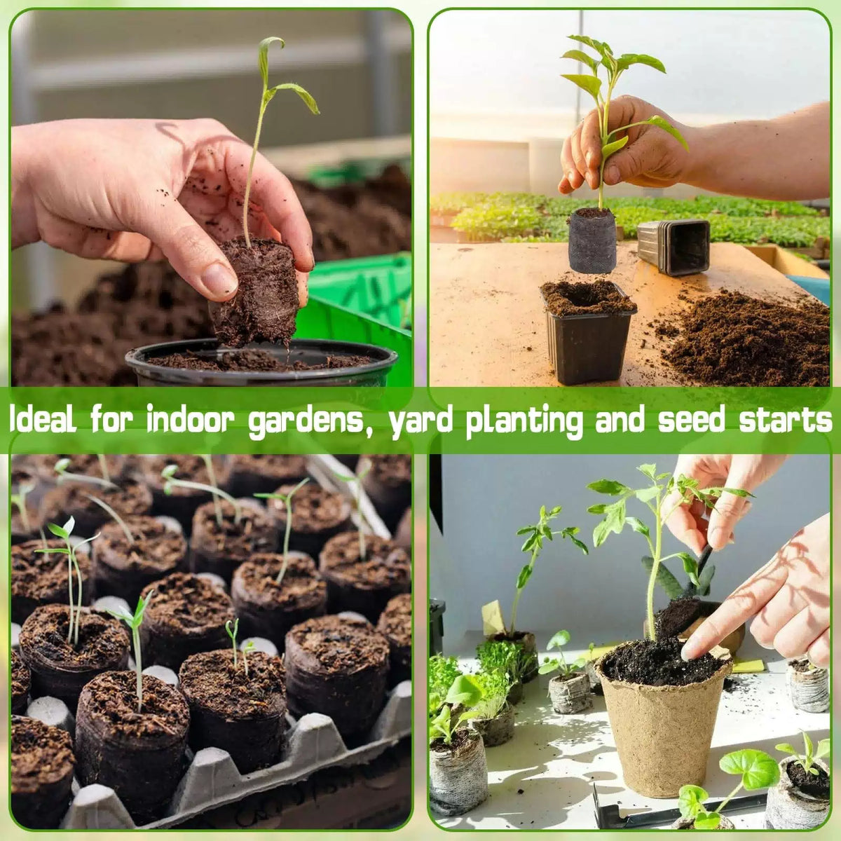ZeeDix 55Pcs 30mm Seed Starter Pods, Compressed Peat Pellets 30mm, 55pcs [4]