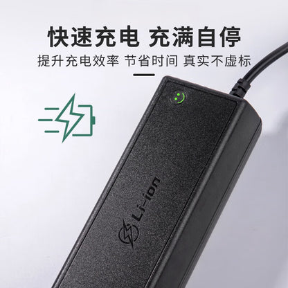 Gangwo z5K6fiB3 intelligent lithium battery charger, 12V, 20A, 16.8V