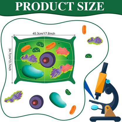 Leitee 18 Pcs Magnetic Plant Cell Model Kits Giant Teaching 17.8 x 13.7 in