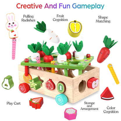 Toddlers Montessori Wooden Educational Toys for Baby Boys Middle, Multicolor