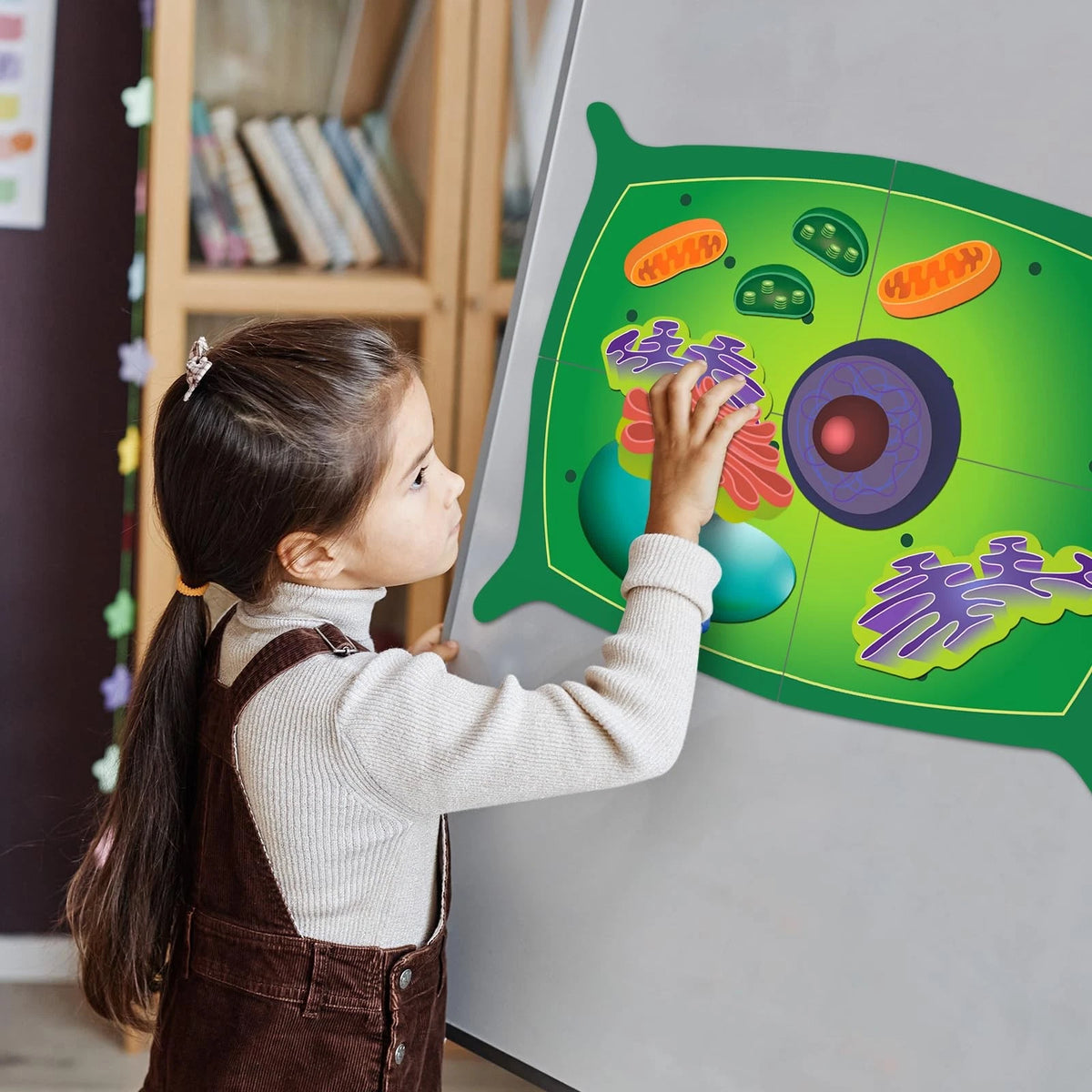 Leitee 18 Pcs Magnetic Plant Cell Model Kits Giant Teaching 17.8 x 13.7 in