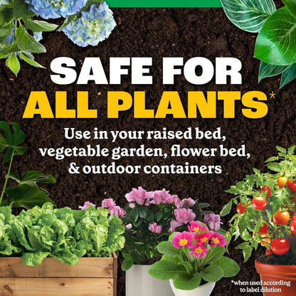 Pennington Easy-Dose All Purpose Plant Food 2-3-2 32oz