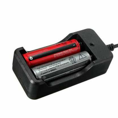 Family Charger Dock and LED Torch Plug Dock For Model 18650 Li-ion Charger Box r