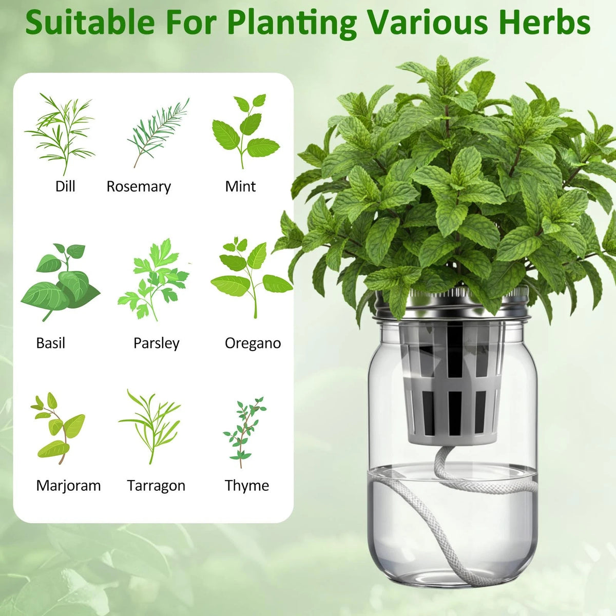 Teenyyou 12 Set Hydroponic Garden Mason Jar 6.5 x 3.46 inches, Clear, Black
