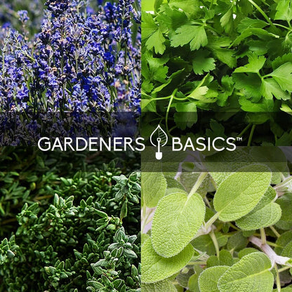 35 Medicinal Herb Seeds Variety Pack – Heirloom Non-GMO Healing & Brown
