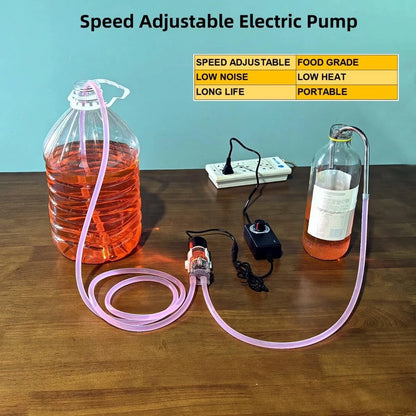 Food Grade Electric Water Transfer Pump, 110V Adjustable Flow Black and Clear