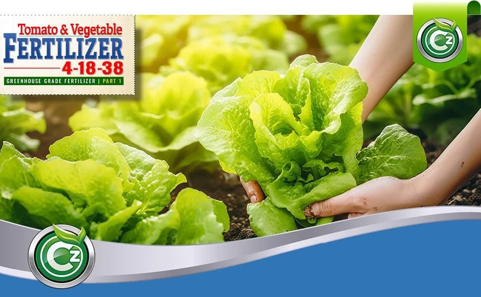 4-18-38 Fertilizer Made in USA –  Water Soluble Plant Food for...