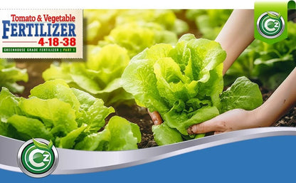 4-18-38 Fertilizer Made in USA –  Water Soluble Plant Food for...