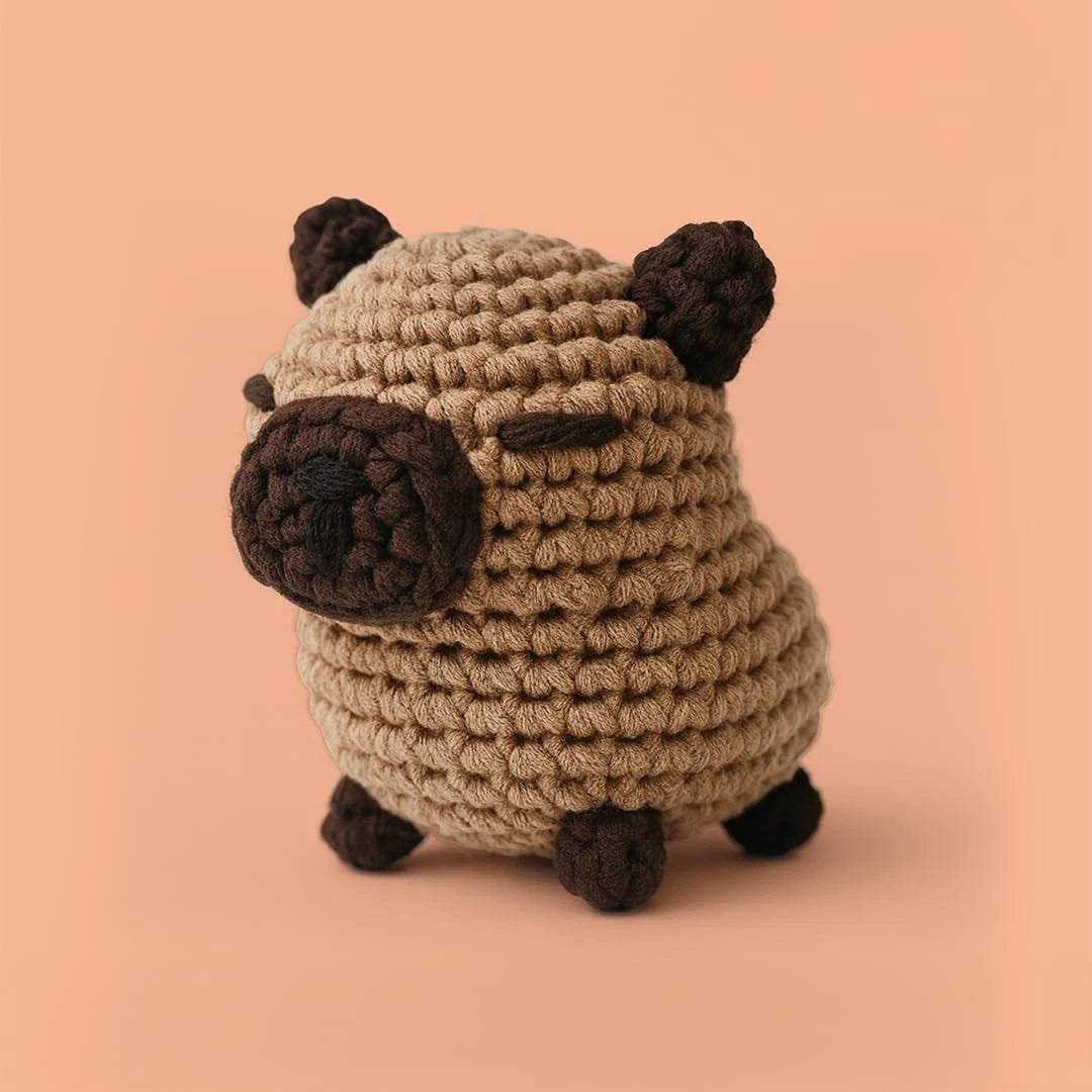 THE GOOKIE Crochet Kit for Beginners - All-in-One Amigurumi with Capybara