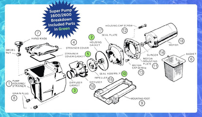 KitKing - SPX1600TRA Super Pump Seal Replacement Standard,  Version