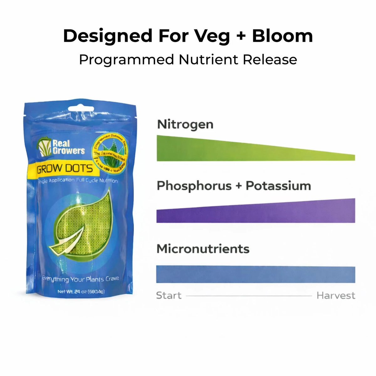 Real Growers Grow Dots Classic 75g – Single Application Programmed