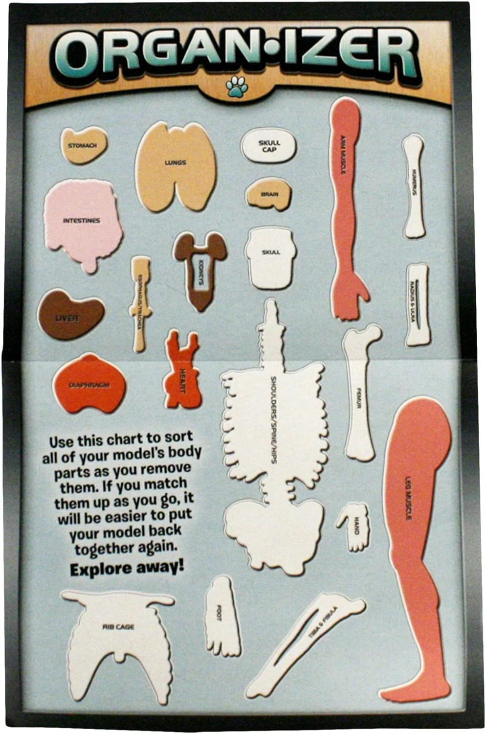 SMARTLAB Toys Squishy Human Body with 21 Removable Standard, Multicolor