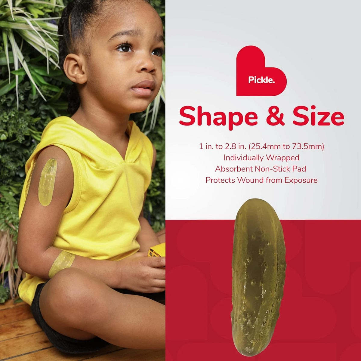 BioSwiss Bandages, Pickle Shaped Self Adhesive Bandage, Latex 24-Count Box
