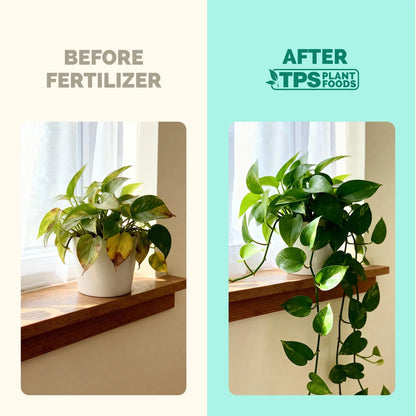 Indoor Plant Food - Liquid Fertilizer for Plants & 8 oz (1/2 Pint)