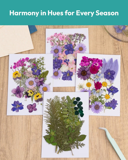 Dried Flowers, Resiners 100Pcs Pressed Flowers for Craft Purple Violet 100pcs