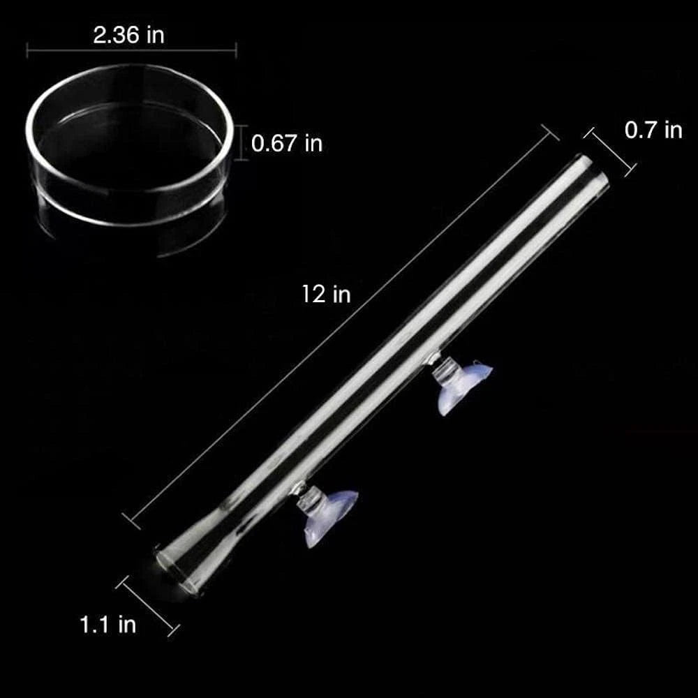 Shrimp Feeding Tube and Dish,Clear Crystal Glass 12“, clear