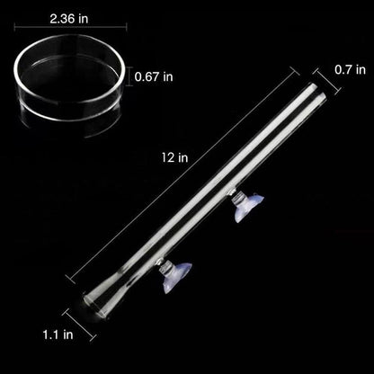Shrimp Feeding Tube and Dish,Clear Crystal Glass 12“, clear