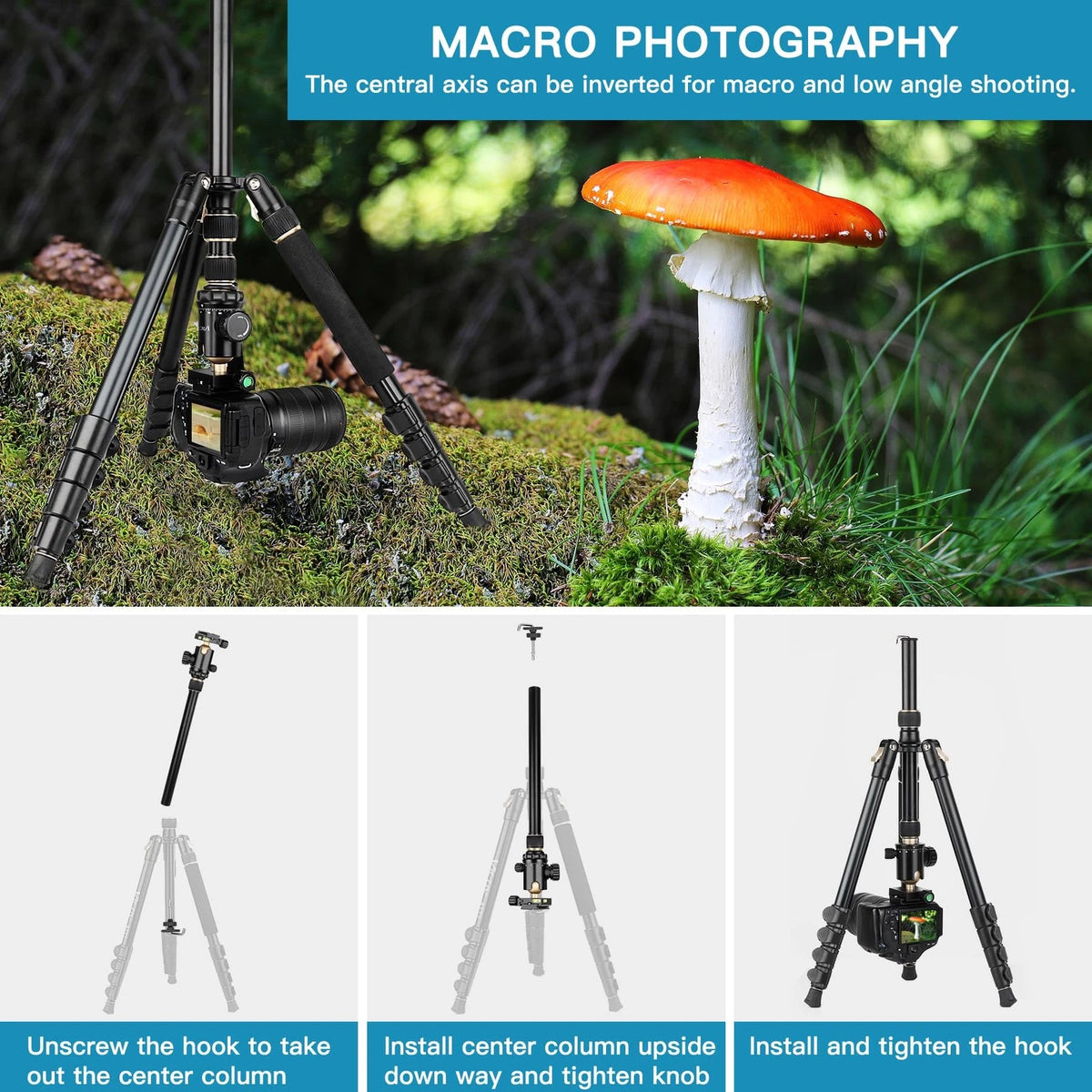 Professional DSLR Tripod for Photography - Tall, Lightweight & 76inch, Gold