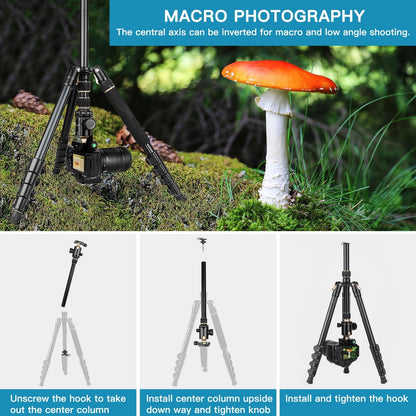 Professional DSLR Tripod for Photography - Tall, Lightweight & 76inch, Gold
